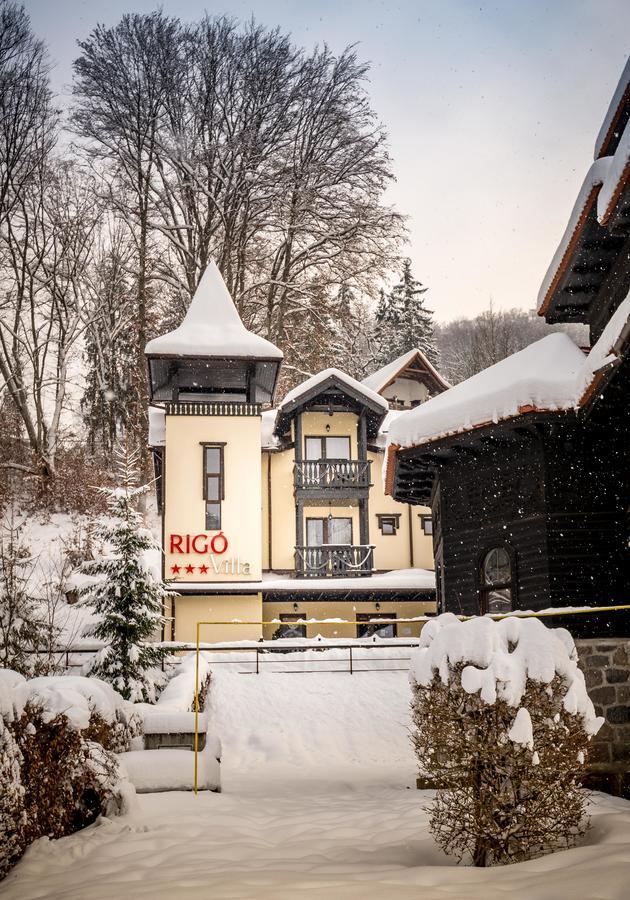 Vila Rigo Sovata Exteriör bild